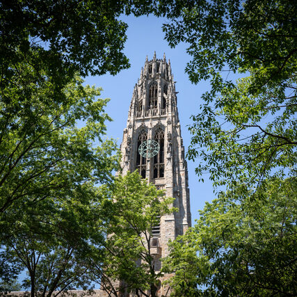 harkness-tower-through-trees_andrew-hurley